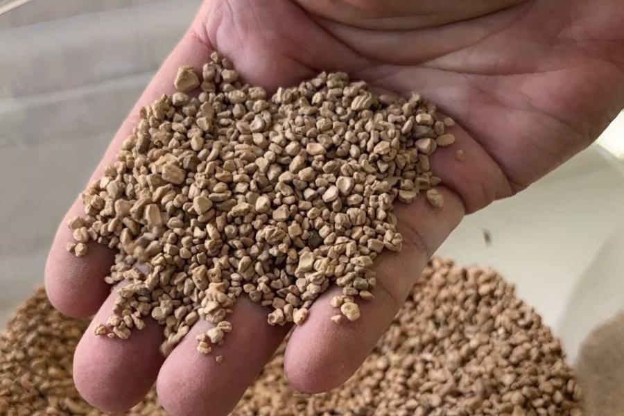 Huesos de aceituna para almacenar energía renovable: el avance que lidera la UCLM