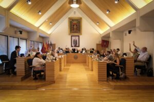 Imagen del Pleno del Ayuntamiento de Ciudad Real celebrado este 29 de julio