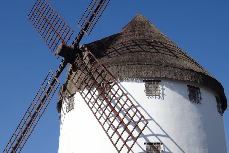 El gigante de La Mancha: así es el molino de viento más grande del mundo que puedes ver en Ciudad Real