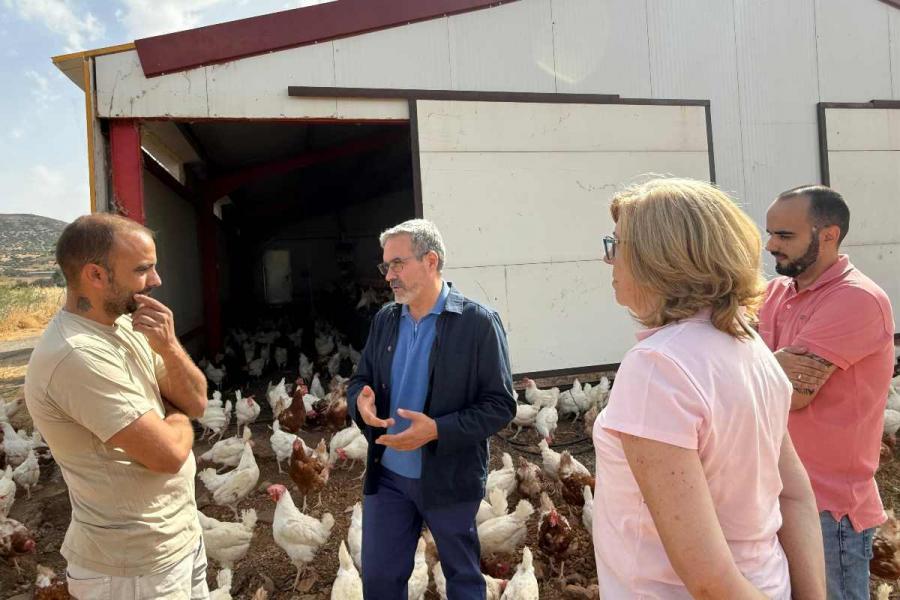 El Gobierno de Castilla-La Mancha anuncia un próximo pago a jóvenes agricultores y ganaderos
