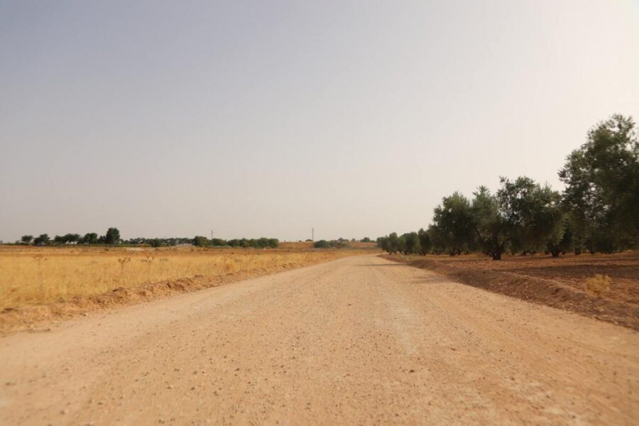 Un pueblo de Ciudad Real arreglará quince caminos rurales de su término municipal