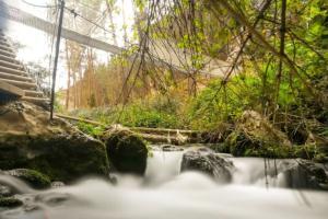 Ruta del Zarzalar. Foto: Turismo Nerpio