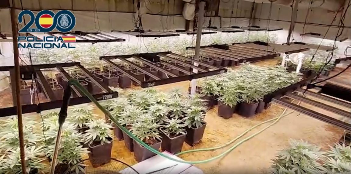 Una de las plantaciones indoor de marihuana