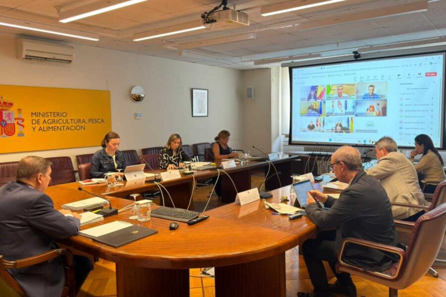 Castilla-La Mancha recibirá casi 45 millones para sanidad animal, vegetal y apoyo al sector vitivinícola
