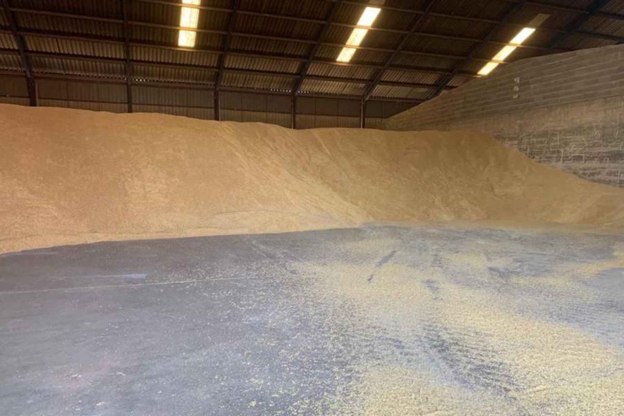 Subidas generalizadas del precio de los cereales, en Castilla-La Mancha también