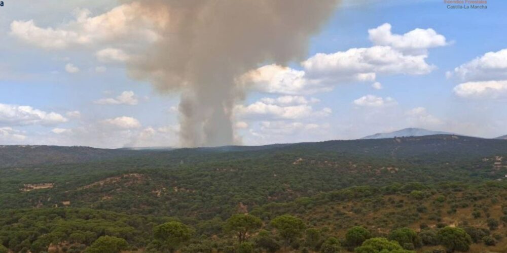 Detalle del incendio de Almorox.