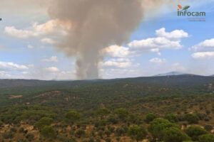 Detalle del incendio de Almorox.