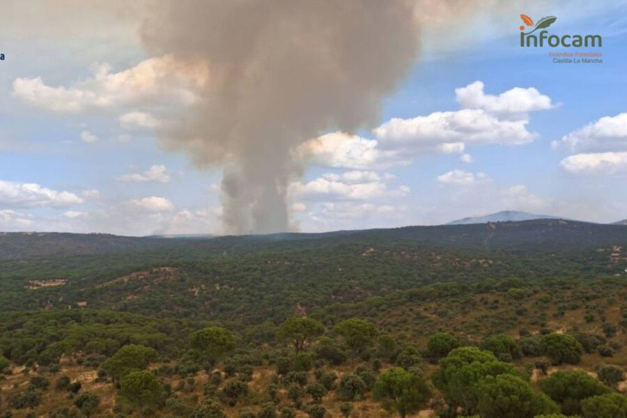 189 efectivos trabajan en el incendio de Almorox (Toledo), que ha vuelto al nivel 2