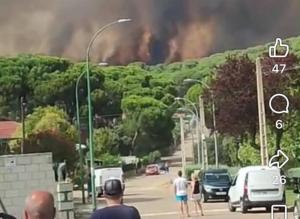 Se incendia el pinar de Almorox.