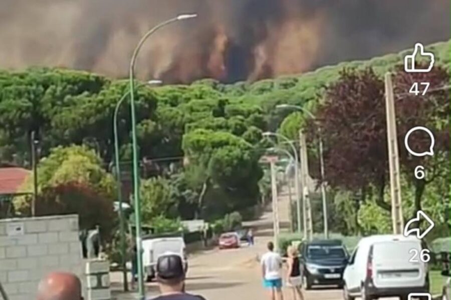 Evacúan una urbanización y confinan otra por un incendio de nivel 2 en Almorox (Toledo)