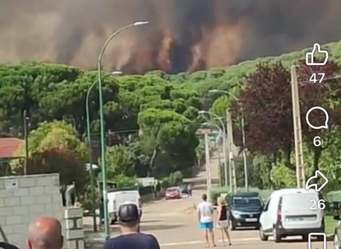 Se incendia el pinar de Almorox.