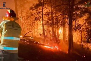 Efectivos del Infocam, en el incendio de Burgohondo (Ávila).