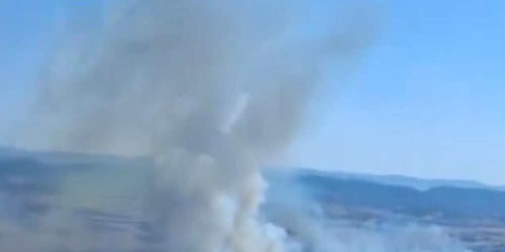 Detalle del incendio de Brazatortas.