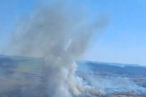 Detalle del incendio de Brazatortas.