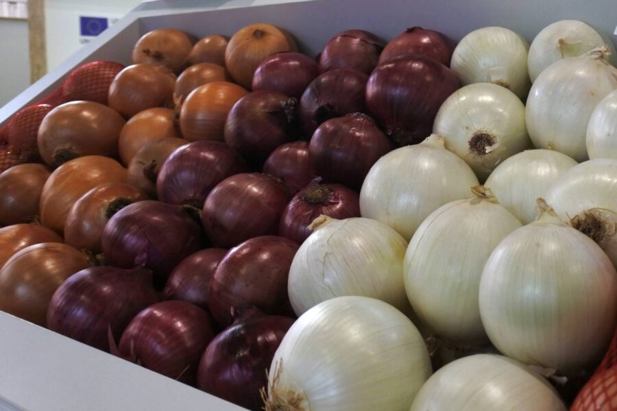 Castilla-La Mancha impulsa canales cortos de comercialización y mercados locales de productos agrícolas