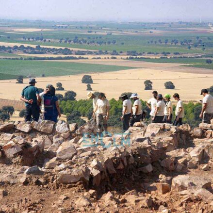 Fotos | Los secretos de los carpetanos y la ciudad amurallada que esconde el Cerro del Gollino, en el corazón de La Mancha — imagen 8