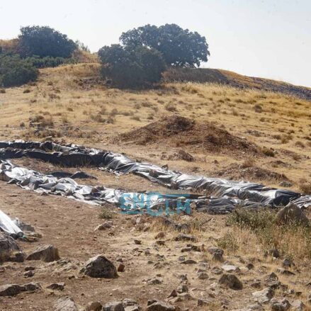 Fotos | Los secretos de los carpetanos y la ciudad amurallada que esconde el Cerro del Gollino, en el corazón de La Mancha — imagen 32