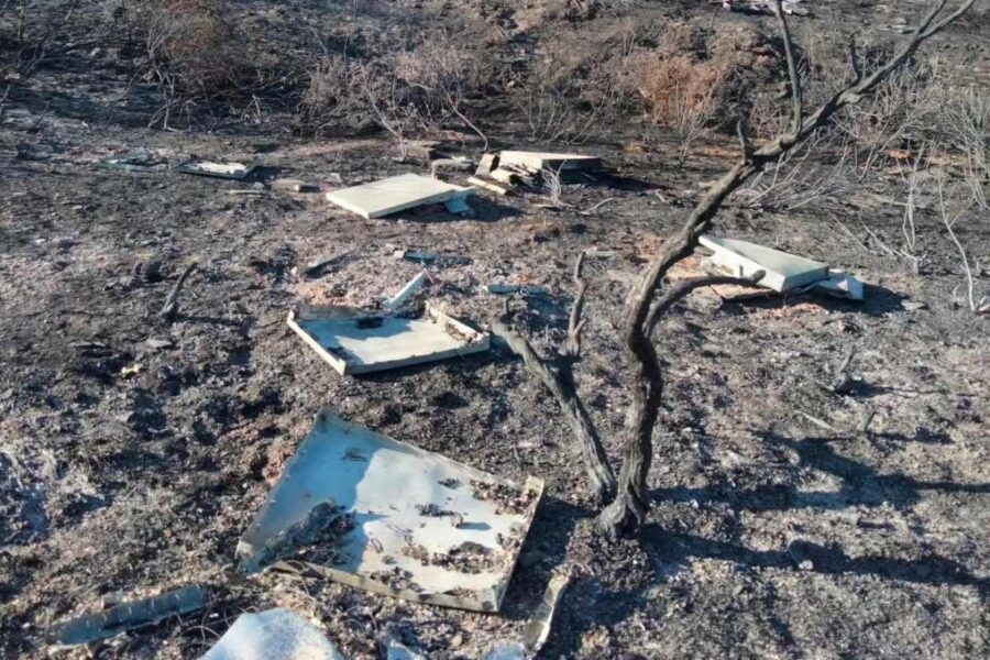 Las abejas, otras de las grandes afectadas por el incendio de Guadalajara