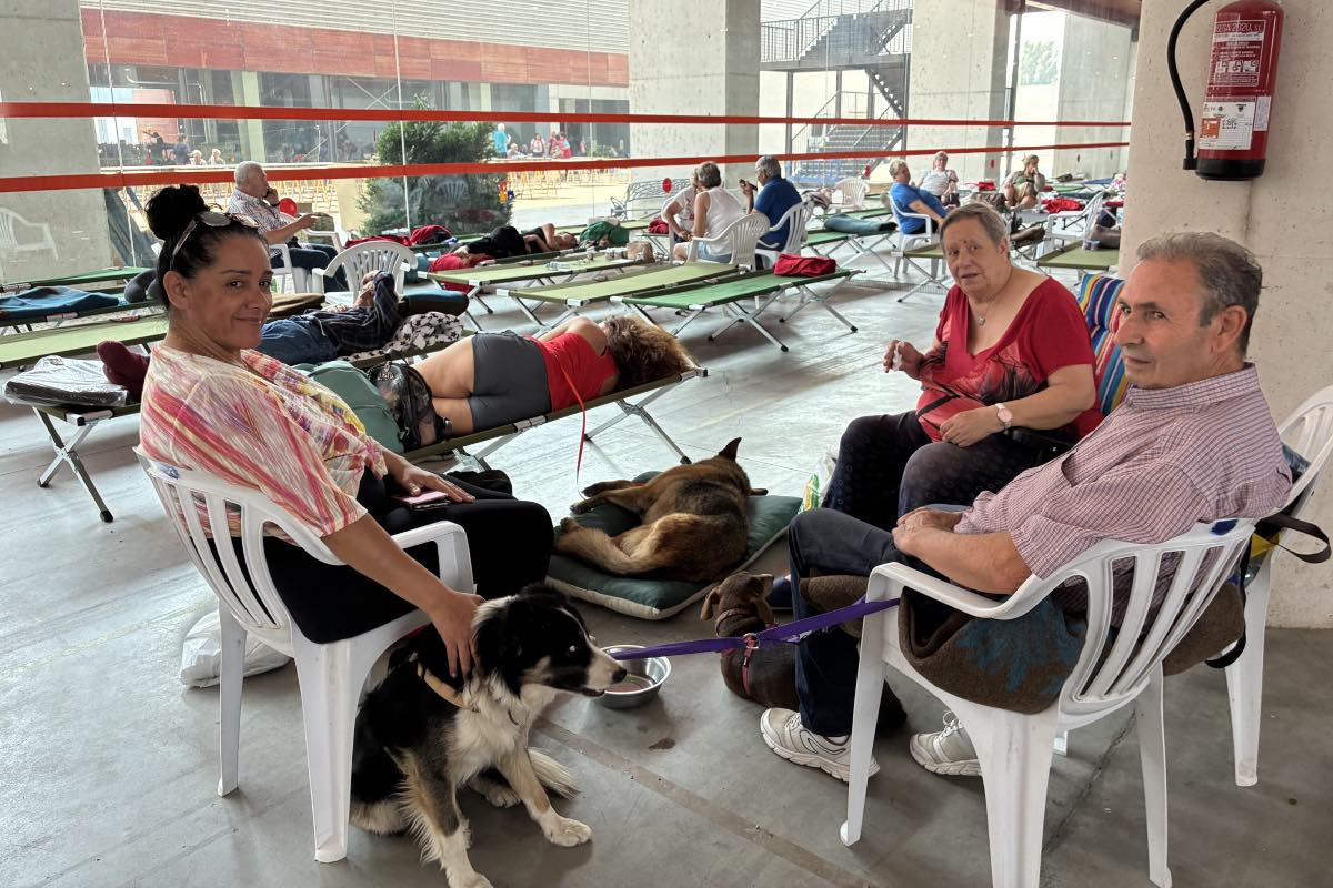 Habitar entre desconocidos en Talavera mientras tu tierra arde, la complicada tarea de casi 2.000 personas: «Resurgiremos» — imagen 1
