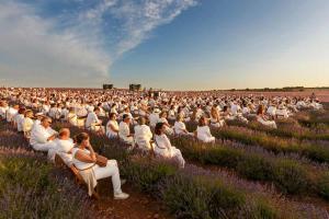 Festival Lavanda Brihuega Foto: Festival Lavanda