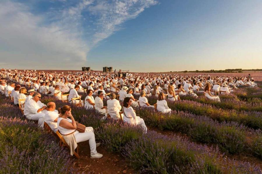 Este viernes comienza una nueva edición del Festival de la Lavanda de Brihuega con la actuación de Sidecars