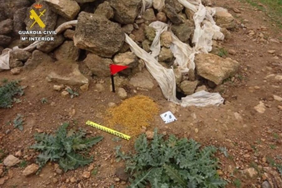 Investigan a tres personas por usar veneno contra conejos en explotaciones agrarias de Ciudad Real