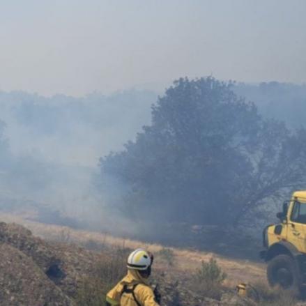 Bomberos forestales en el incendio de La Mierla.
