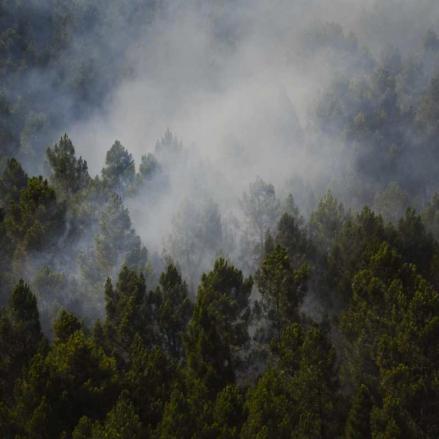 Superficie forestal quemada durante el incendio forestal de La Mierla en Muriel. Foto: Mateo Lanzuela-EP.