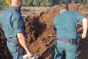 Los agentes encontraron a los perros muertos debajo de un montón de estiércol.