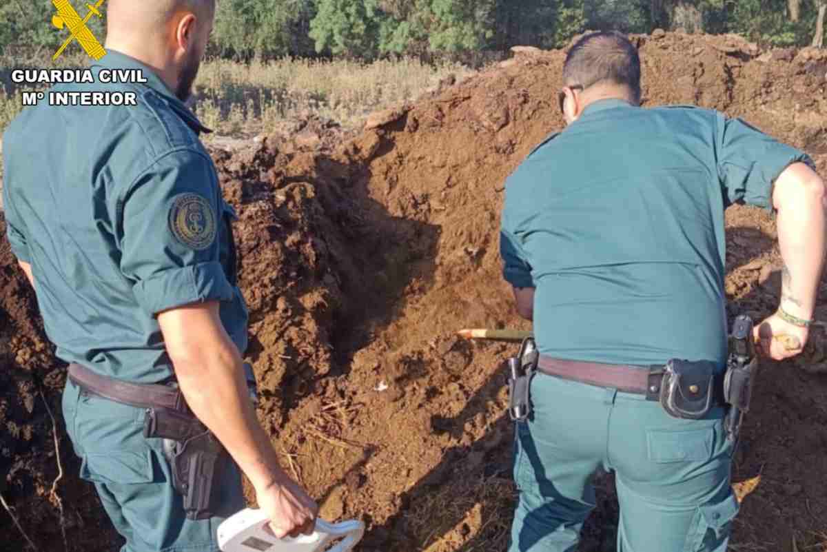 Los agentes encontraron a los perros muertos debajo de un montón de estiércol.