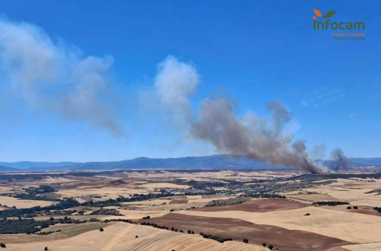 Un incendio forestal en el término municipal de Robledillo de Mohernando (Guadalajara)
