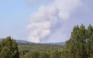 Vista del humo del incendio forestal. Foto: EP.