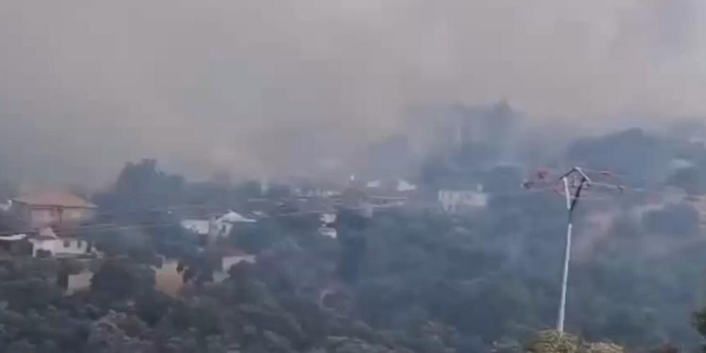 Incendio de Almorox (Toledo). Foto: Guardia Civil