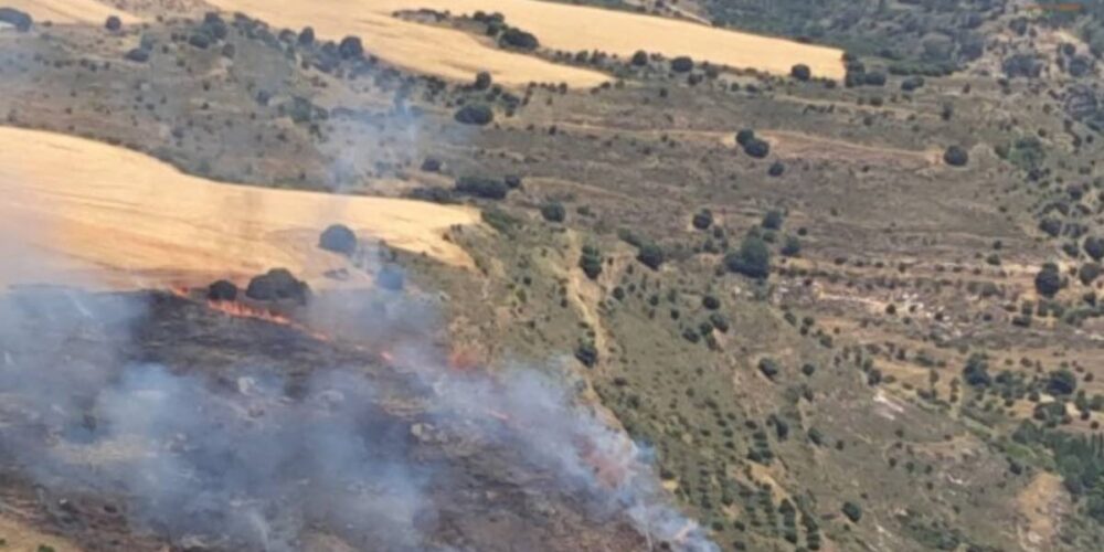 Incendio forestal en Guadalajara. Foto: Infocam