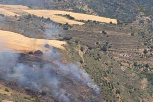 Incendio forestal en Guadalajara. Foto: Infocam