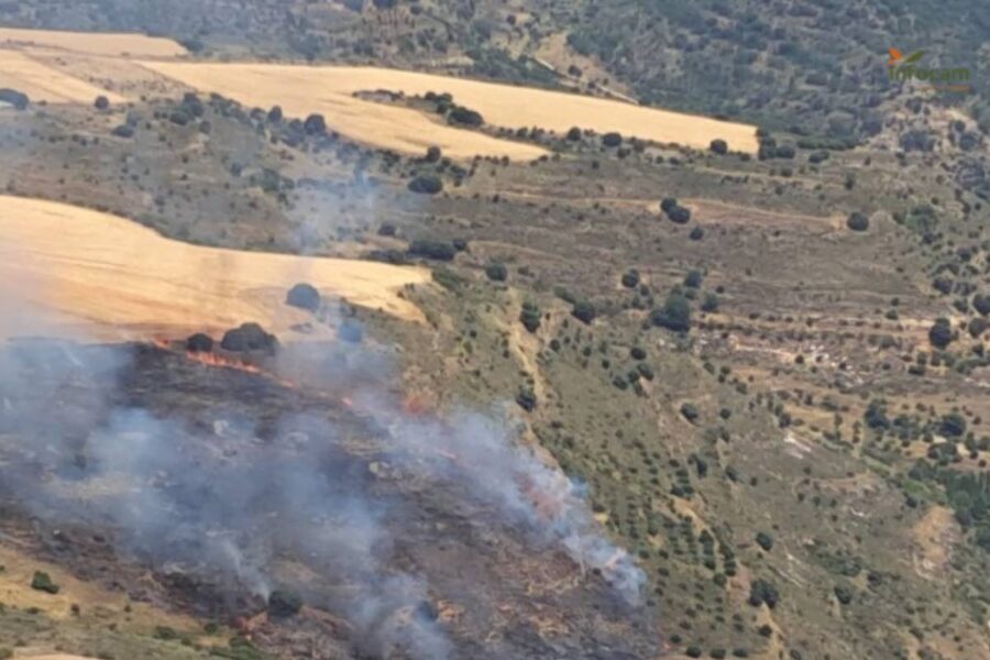 Controlado el incendio forestal en Budia (Guadalajara): trabajan cinco medios terrestres y 23 personas