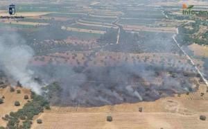 Incendio en Malpica de Tajo (Toledo).