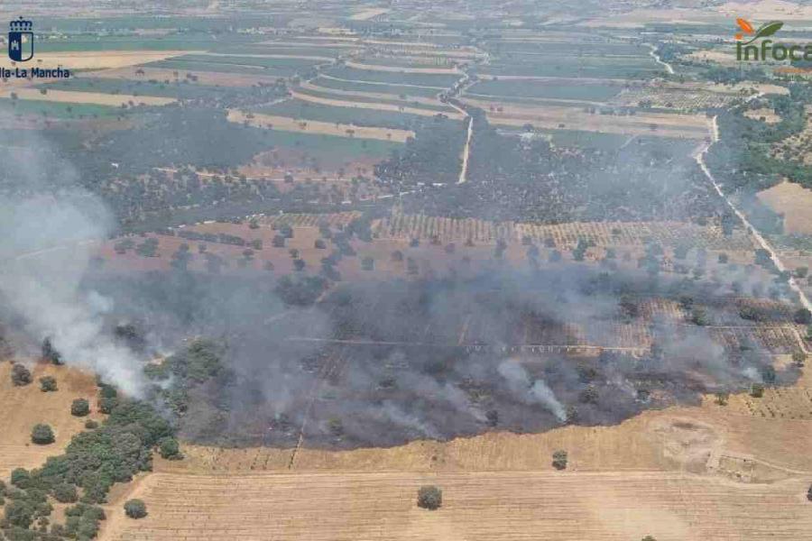 ASAJA Cuenca lamenta que se criminalice a los agricultores por los incendios forestales