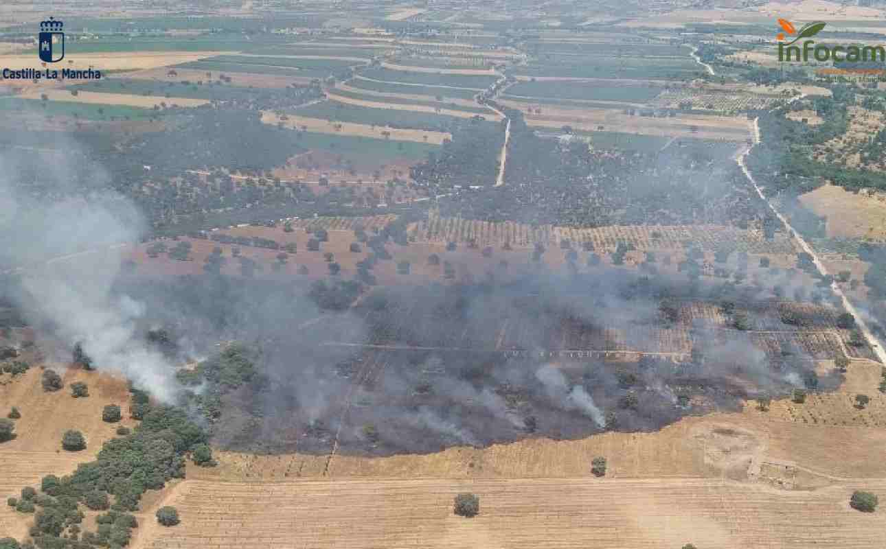 Incendio en Malpica de Tajo (Toledo).
