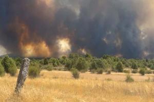 Incendio en La Mierla (Guadalajara).