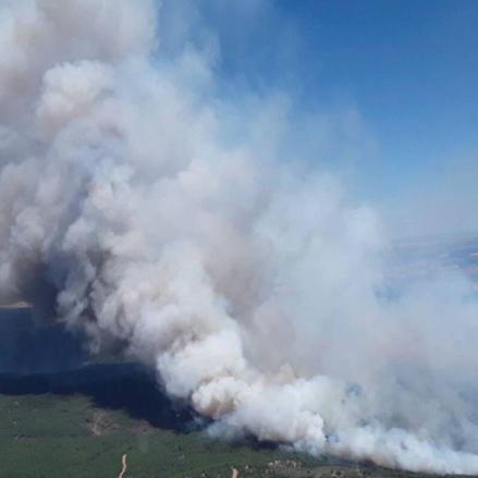 Incendio en La Mierla (Guadalajara).
