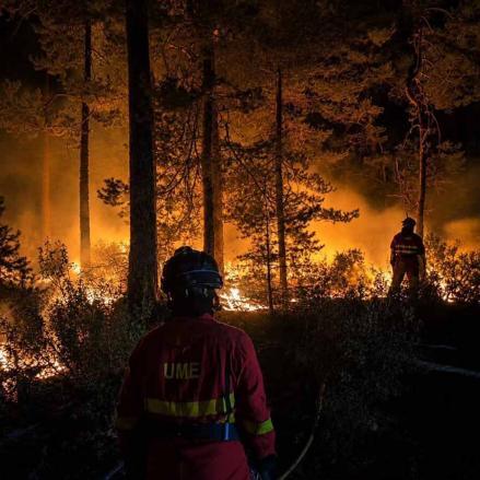 Fotos | El impresionante incendio de La Mierla ya ha arrasado 29.000 hectáreas — imagen 4