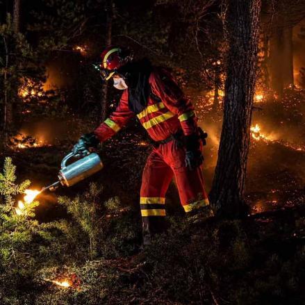 Fotos | El impresionante incendio de La Mierla ya ha arrasado 29.000 hectáreas — imagen 5