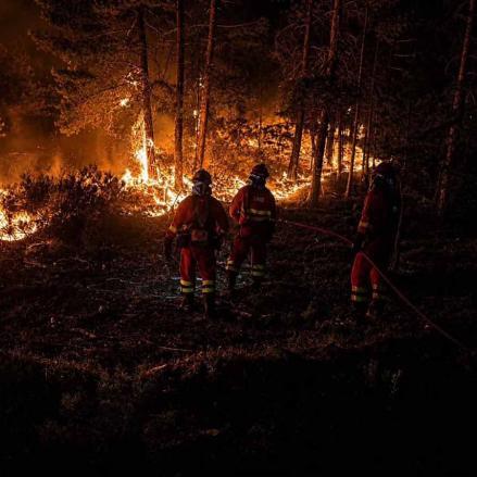 Fotos | El impresionante incendio de La Mierla ya ha arrasado 29.000 hectáreas — imagen 7