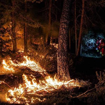 Fotos | El impresionante incendio de La Mierla ya ha arrasado 29.000 hectáreas — imagen 2
