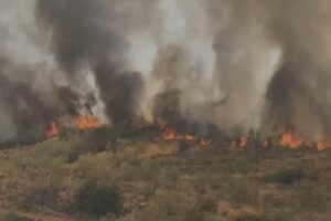 Incendio forestal en Navalcán.