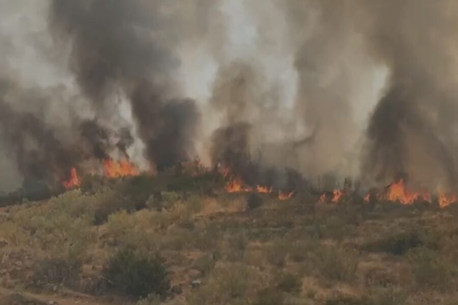 Extinguido el incendio forestal en Navalcán (Toledo): participaron 75 medios