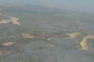 Superficie quemada en el incendio de Selas (Guadalajara). Foto: Infocam