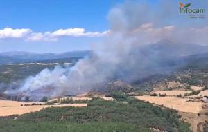 Incendio en La Mierla (Guadalajara).