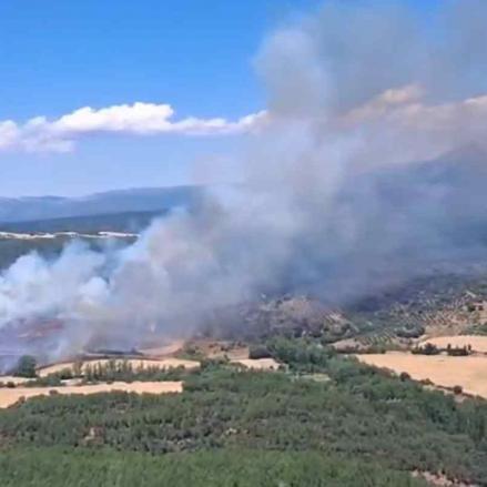 Incendio en La Mierla (Guadalajara).